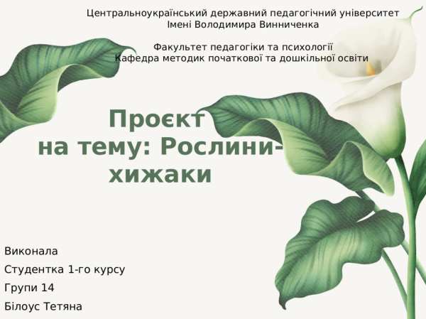 Проєкти для дошкільнят з актуальних проблем природничо-екологічного спрямування