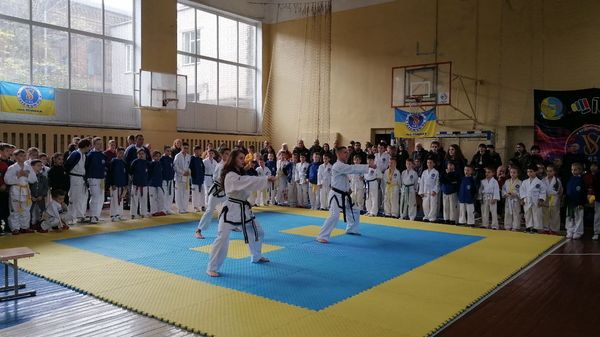 У Кропивницькому пройшов Кубок пам'яті захисників України з таеквондо 